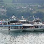 Hallwilersee seerose Hallwilersee seerose